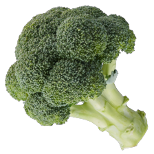 Broccoli